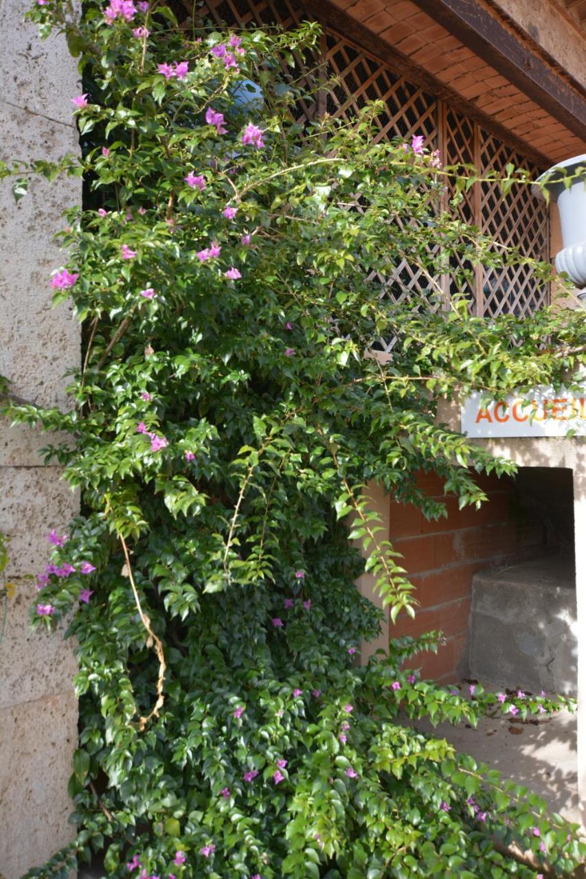Chambre D’Hôtes Nature Et Saveurs Boutenac Extérieur photo