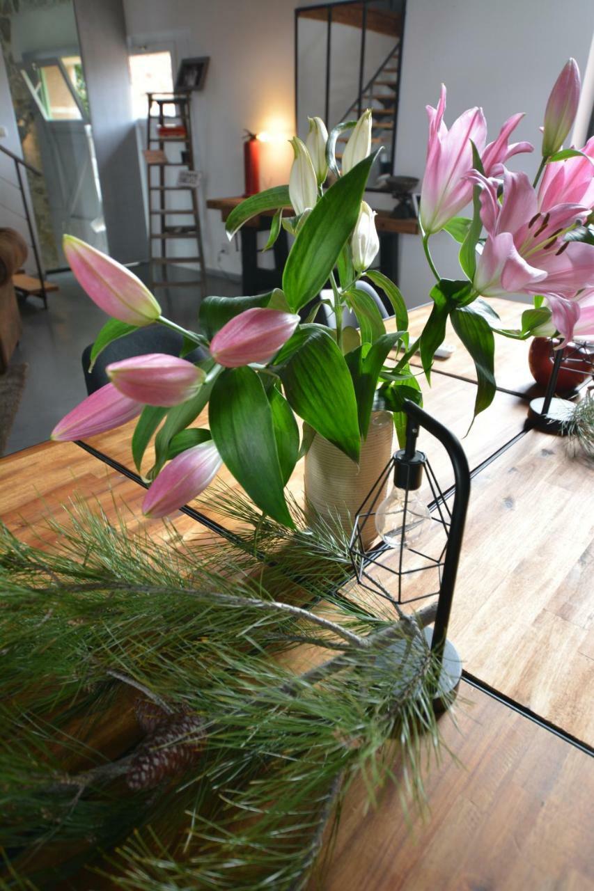 Chambre D’Hôtes Nature Et Saveurs Boutenac Extérieur photo
